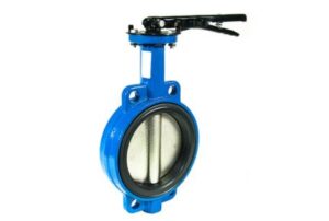 Butterfly valve it looks blue and black colour.